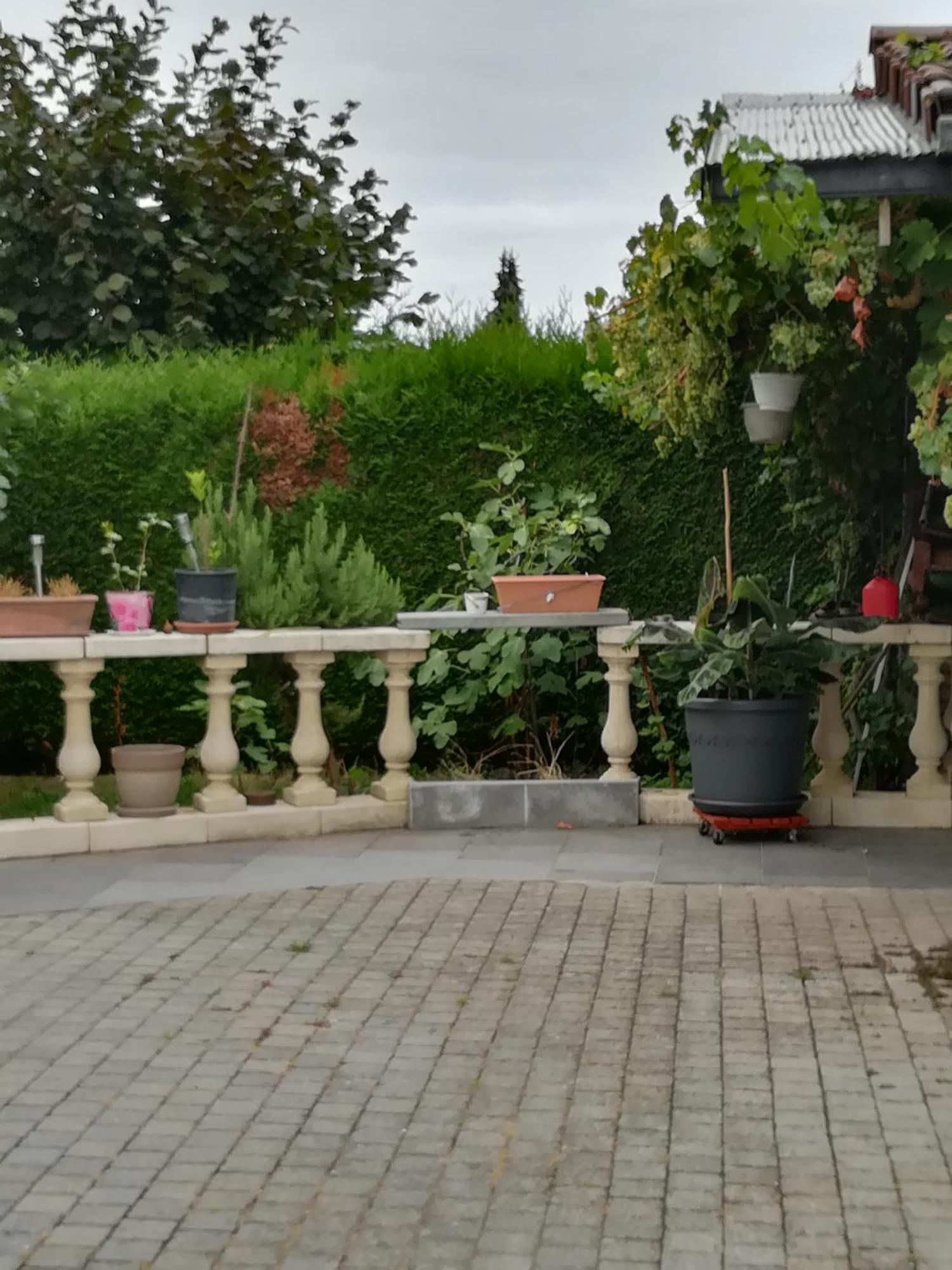 Le Castillon Trivieres Εξωτερικό φωτογραφία